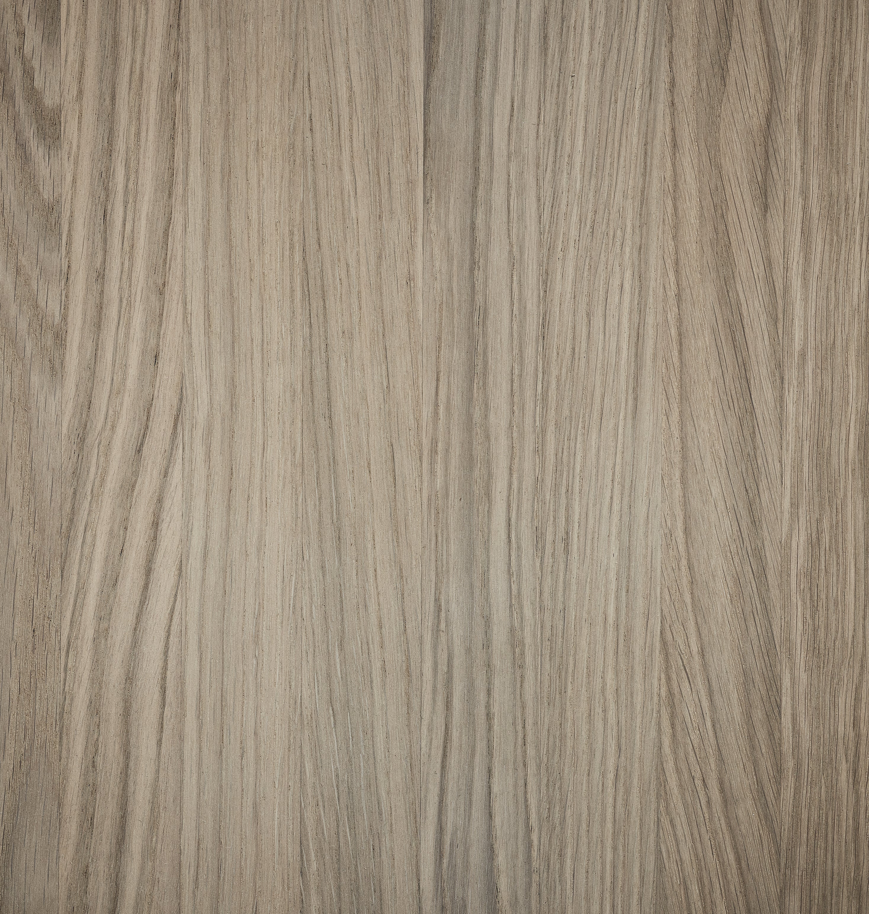 Oak White pigmented oil 