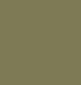 Olive Green 64