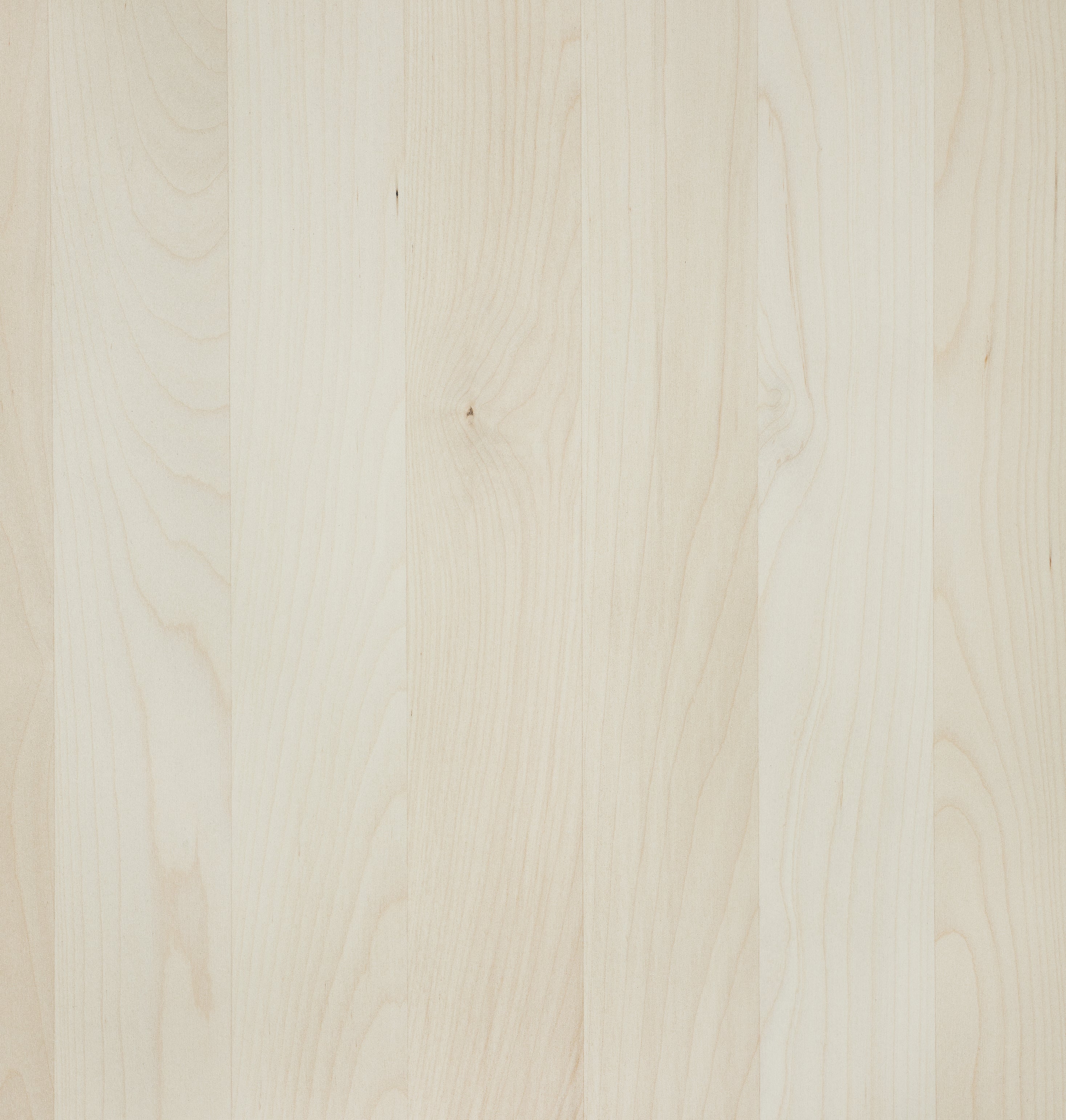 Björk Ljus mattlack 